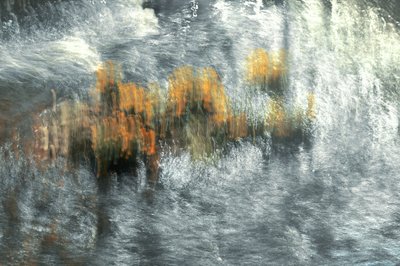 Blurred Autumn Reflections by Christina Sillen