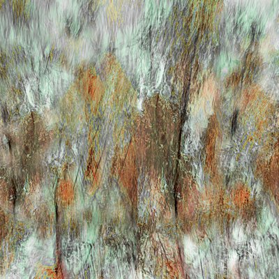 Earthy Woodland Strokes by Christina Sillen