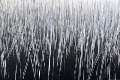 Ethereal Vertical Lines by Christina Sillen