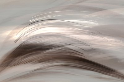 Flowing Abstract Light by Christina Sillen