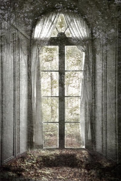 Forgotten Forest Window by Christina Sillen