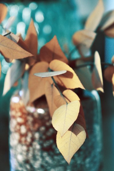 Golden Autumn Leaves by Christina Sillen
