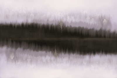 Misty Birch Reflection by Christina Sillen