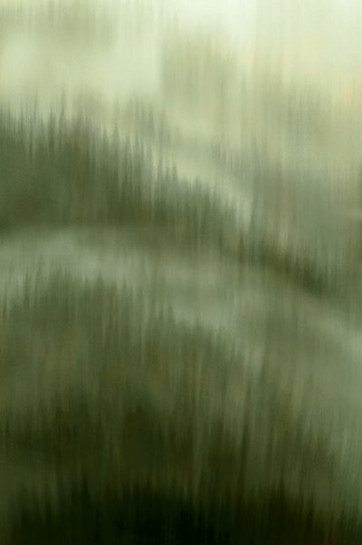 Misty Forest Serenity by Christina Sillen