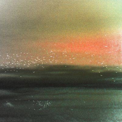 Ocean Birds Red Sky by Christina Sillen