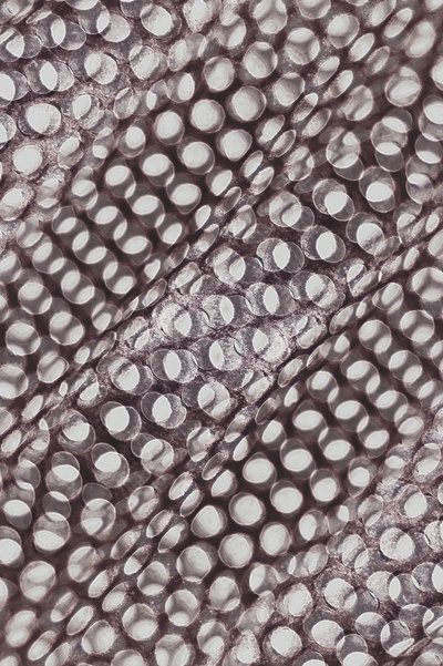 Shimmering Circular Pattern by Christina Sillen