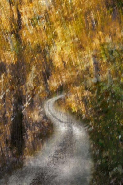 Winding Autumn Path by Christina Sillen