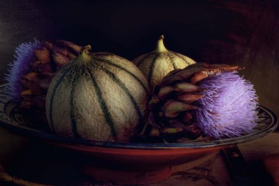 Melons and Purple Thistles by Christine SUISSIA