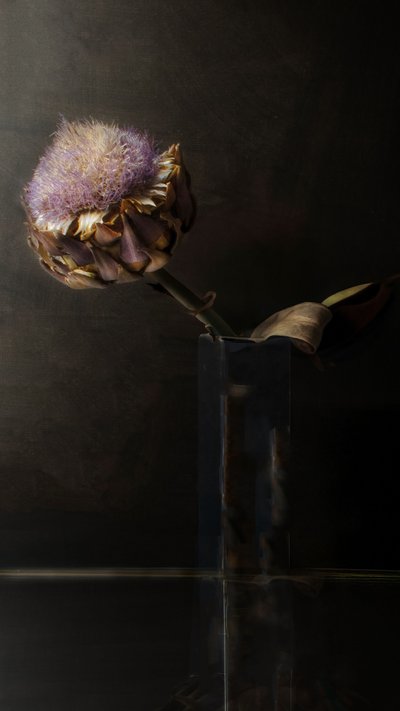 Moody Artichoke Bloom by Christine SUISSIA