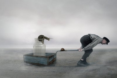 Absurd Snail Journey by Christine von Diepenbroek