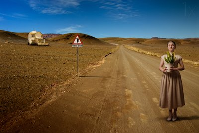 Dead Slow by Christine von Diepenbroek