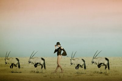 Desert Walk With Oryx by Christine von Diepenbroek