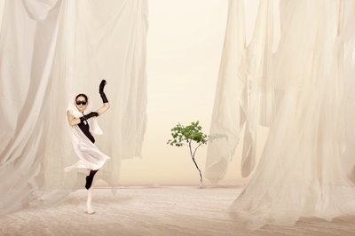 Ethereal Dance Performance by Christine von Diepenbroek