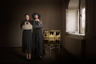 Gothic Women Butterfly Collection by Christine von Diepenbroek