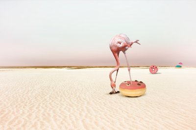 Pink Flamingo Donut Dream by Christine von Diepenbroek