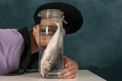 Surreal Fish Gaze by Christine von Diepenbroek