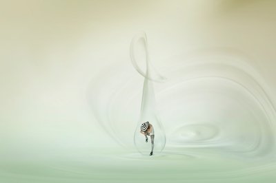 Whimsical Bubble Dancer by Christine von Diepenbroek