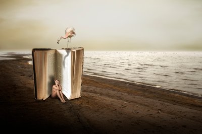 Woman in Giant Book by Christine von Diepenbroek