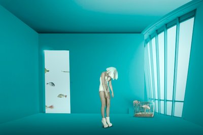 Caging by Christine von Diepenbroek
