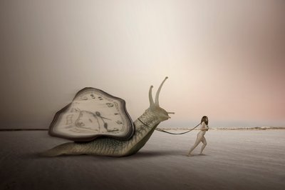 Slowness of Time by Christine von Diepenbroek