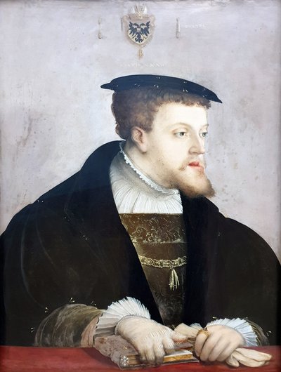 Emperor Karl V. by Christoph Amberger
