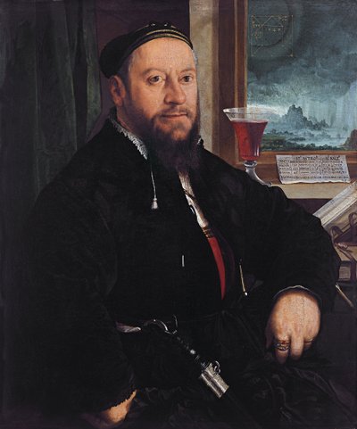Portrait of Matthäus Schwarz by Christoph Amberger