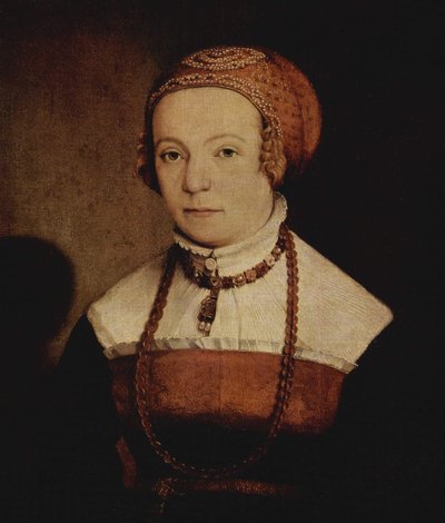 Portrait of a Woman by Christoph Amberger