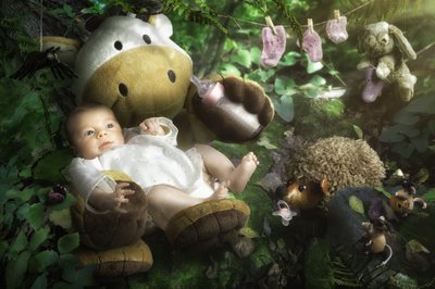 Sweet Woodland Friends by Christophe Kiciak