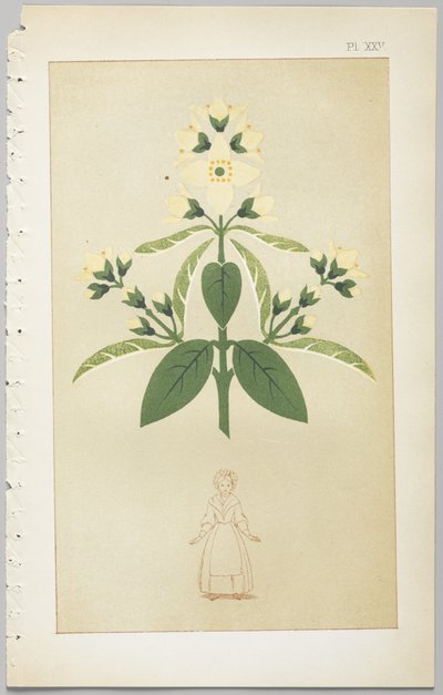The Art of Decorative Design: With an Appendix, Giving the Hours of the Day at Which Flowers Open, Published by Day & Son, London, 1862 by Christopher Dresser