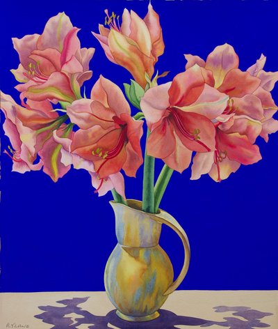 Amaryllis in a Jug, 2007 by Christopher Ryland
