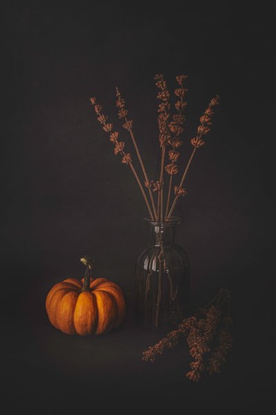 Dark Autumn Still Life by Cicek Kiral
