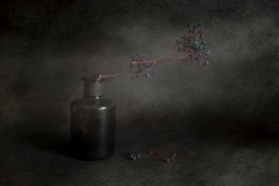 Dark Berries Still Life by Cicek Kiral