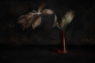 Dark Botanical Still Life by Cicek Kiral