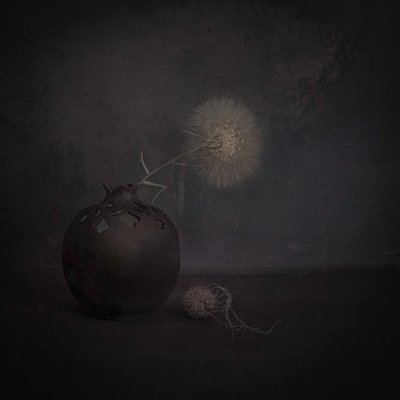 Dark Dandelion Still Life by Cicek Kiral