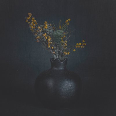 Dark Floral Still Life by Cicek Kiral