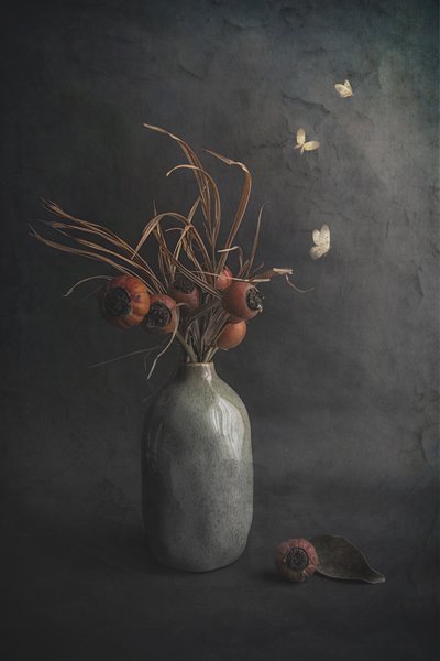 Dark Still Life Butterflies by Cicek Kiral