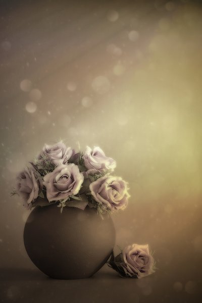 Dreamy Pastel Roses by Cicek Kiral
