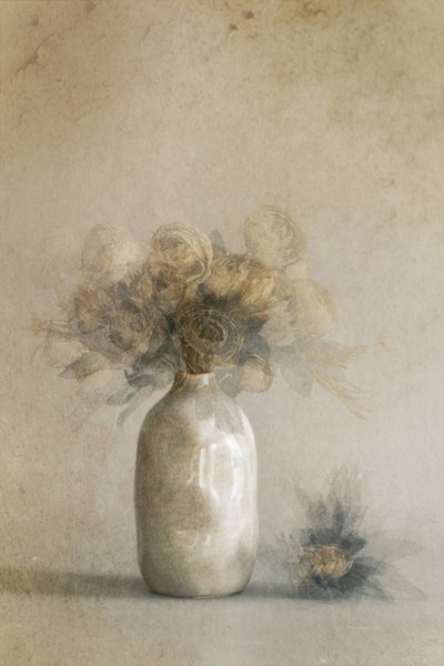 Ethereal Dried Flowers by Cicek Kiral