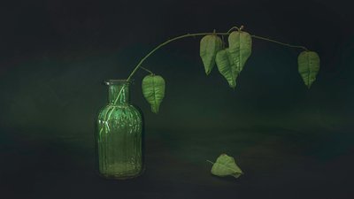 Green Leaf Still Life by Cicek Kiral