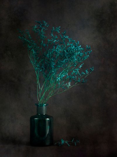 Moody Botanical Still Life by Cicek Kiral