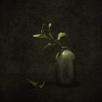 Moody Botanical Still Life by Cicek Kiral
