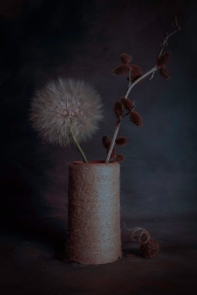 Moody Botanical Still Life by Cicek Kiral