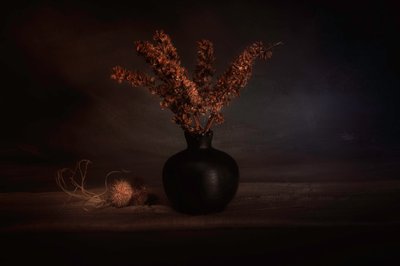 Moody Dried Botanicals by Cicek Kiral