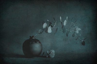 Moody Eucalyptus Still Life by Cicek Kiral