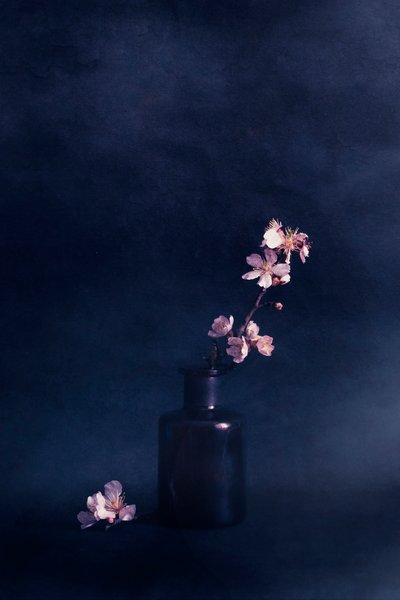 Moody Floral Vase by Cicek Kiral