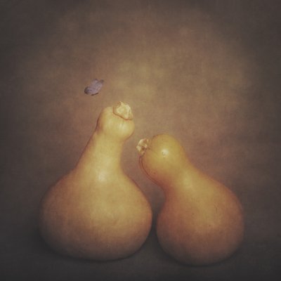 Rustic Gourds and Butterfly by Cicek Kiral
