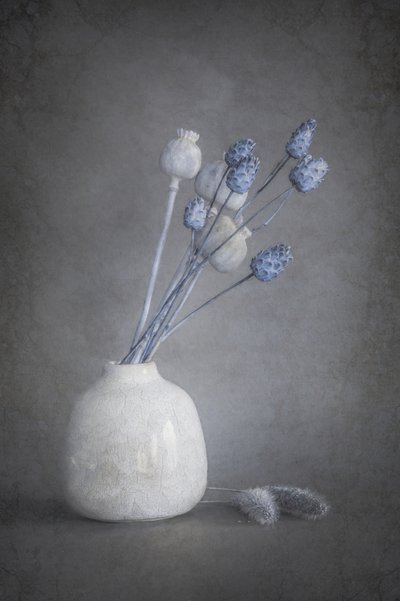 Serene Dried Flowers by Cicek Kiral