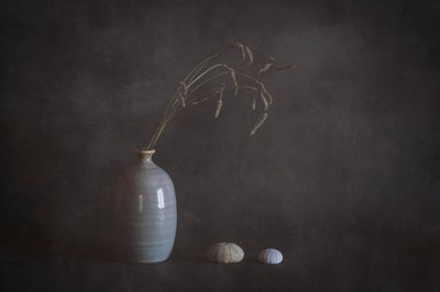 Serene Still Life with Urchins by Cicek Kiral