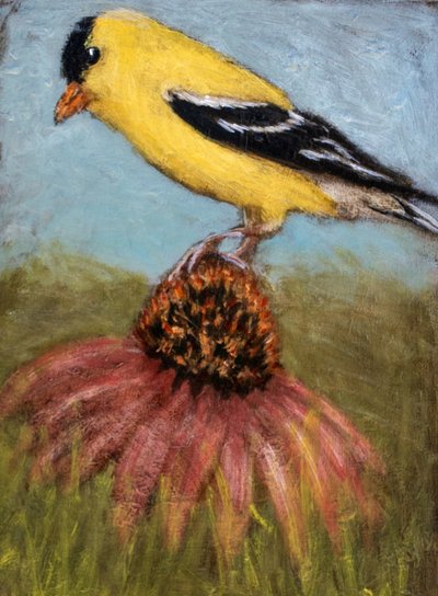 Goldfinch On Coneflower by Claire Lerner