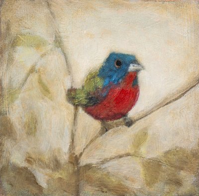 Painted Bunting Bird by Claire Lerner